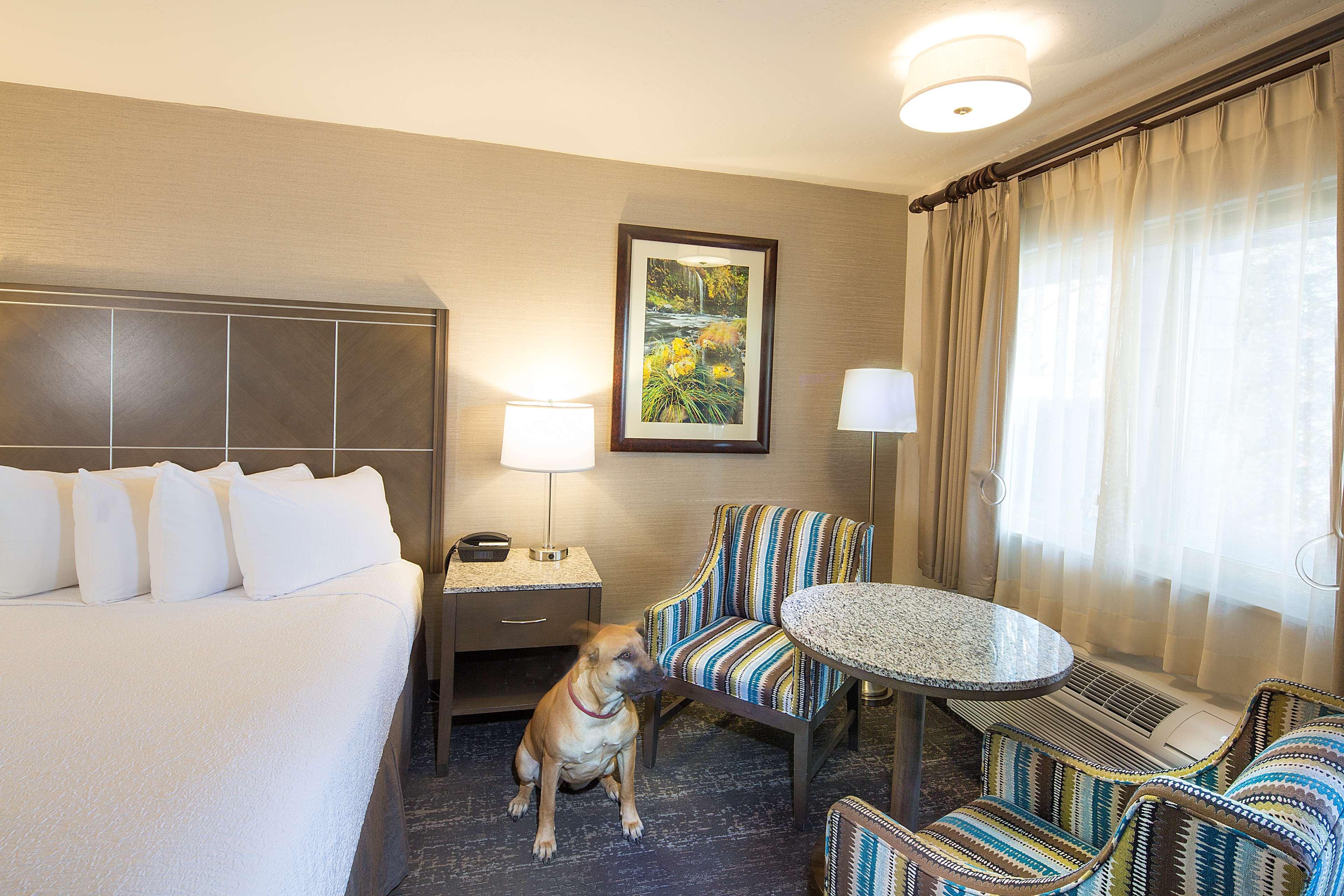 Best Western Plus Hilltop Inn Redding Zewnętrze zdjęcie